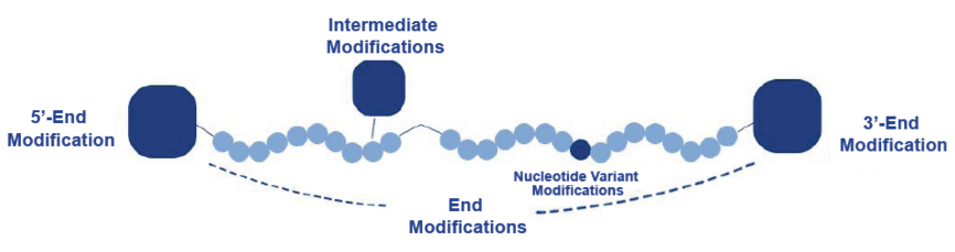 Oligo Modification
