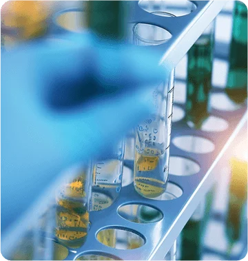 custom oligo synthesis