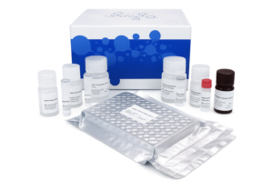 Human IL-1(Interleukin 1 Beta) Elisa Kit