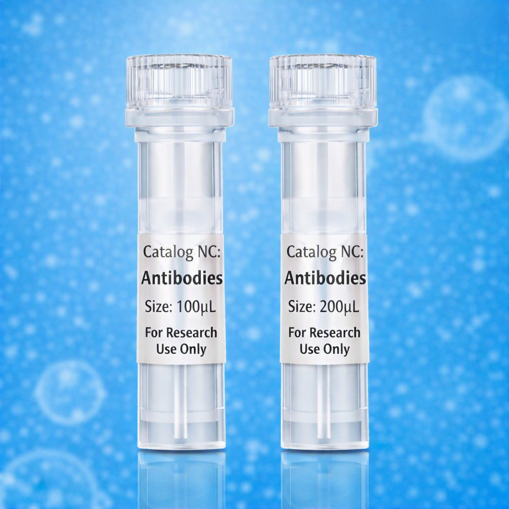 Antibody