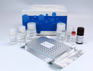 Elisa Kit