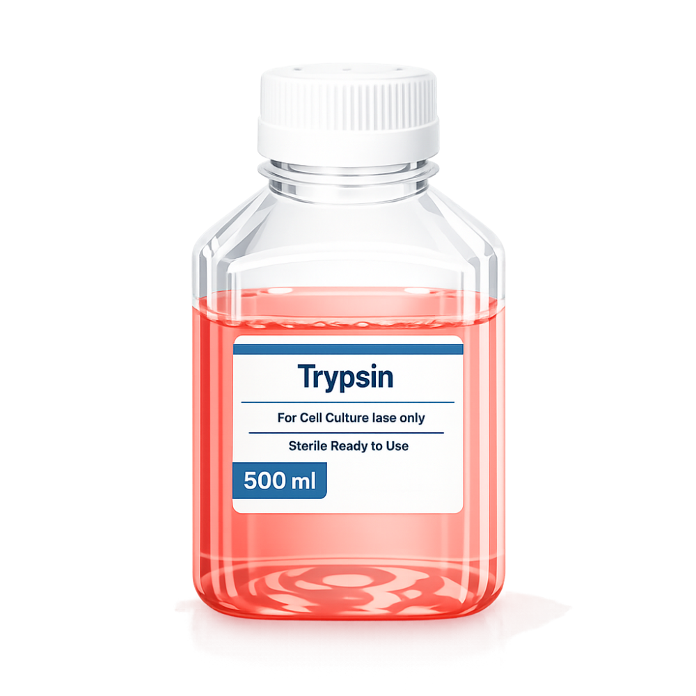 Trypsin (0.25%) in DPBS(1x)