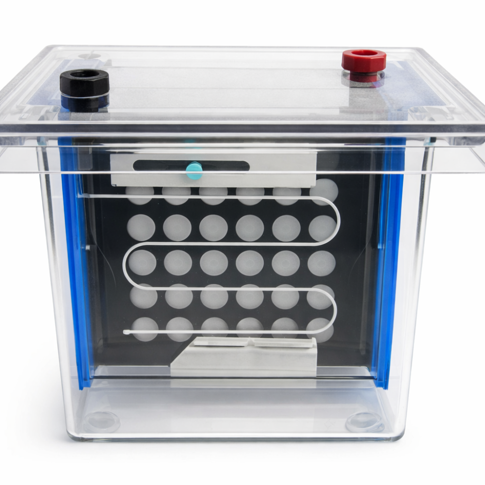 Western Blotting System