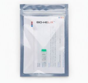 Taq DNA Polymerase