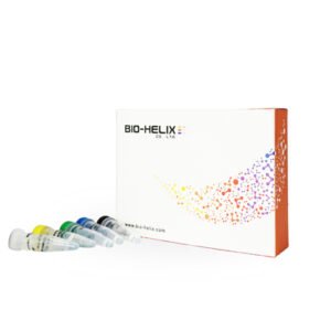 RScript cDNA Synthesis Kit